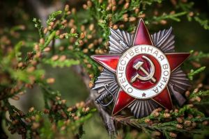 Подробнее...