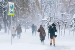 Подробнее...