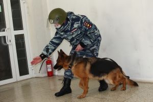 Подробнее...
