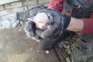 Подробнее...
