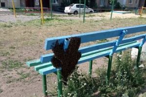 Подробнее...