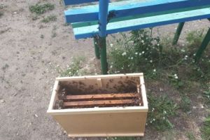 Подробнее...