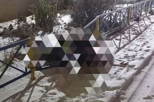 Подробнее...