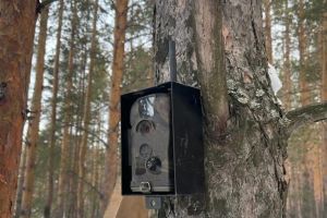 Подробнее...