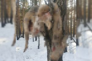 Подробнее...