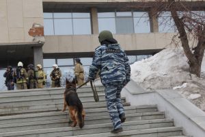 Подробнее...