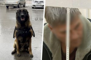 Подробнее...