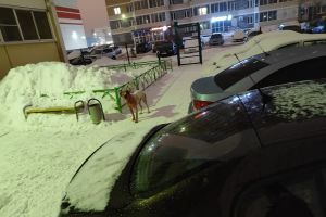 Подробнее...