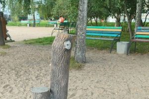 Подробнее...