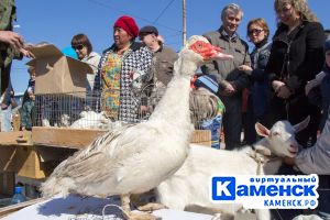 Подробнее...