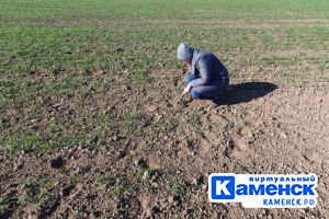 Подробнее...