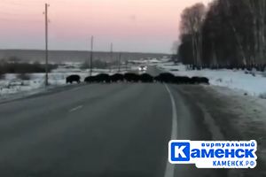 Подробнее...