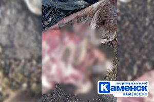 Подробнее...