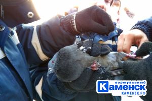 Подробнее...