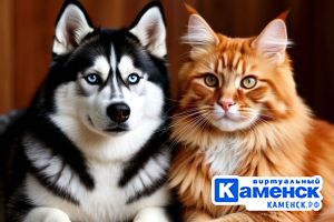 Подробнее...