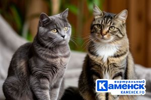 Подробнее...