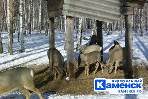 Подробнее...