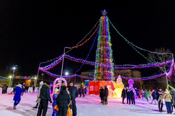 Синарский трубный завод по традиции приглашает каменцев и гостей города посетить новогодний ледовый городок в парке культуры и отдыха...