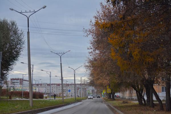 Свердловскую область ждет умеренно теплая и дождливая неделя