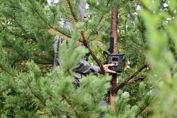 В Свердловской области потратят почти 7 миллионов рублей на борьбу с поджигателями лесов