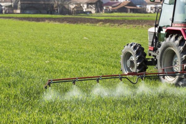 Целый месяц поля в Каменском районе будут активно обрабатывать пестицидами. Повод для тревоги есть только у владельцев...