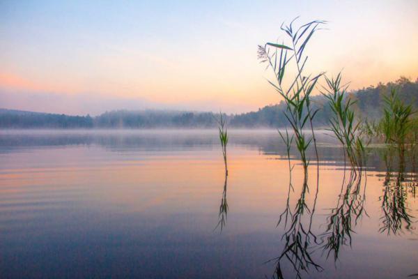 Каменский округ получит средства для укрепления экологической безопасности